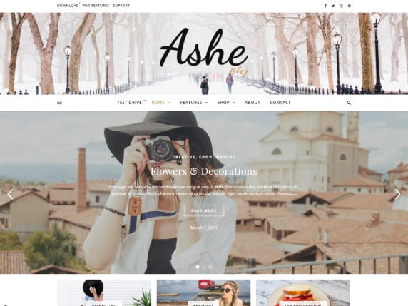 Ashe Theme