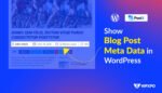 How to Show Blog Post Meta Data in WordPress