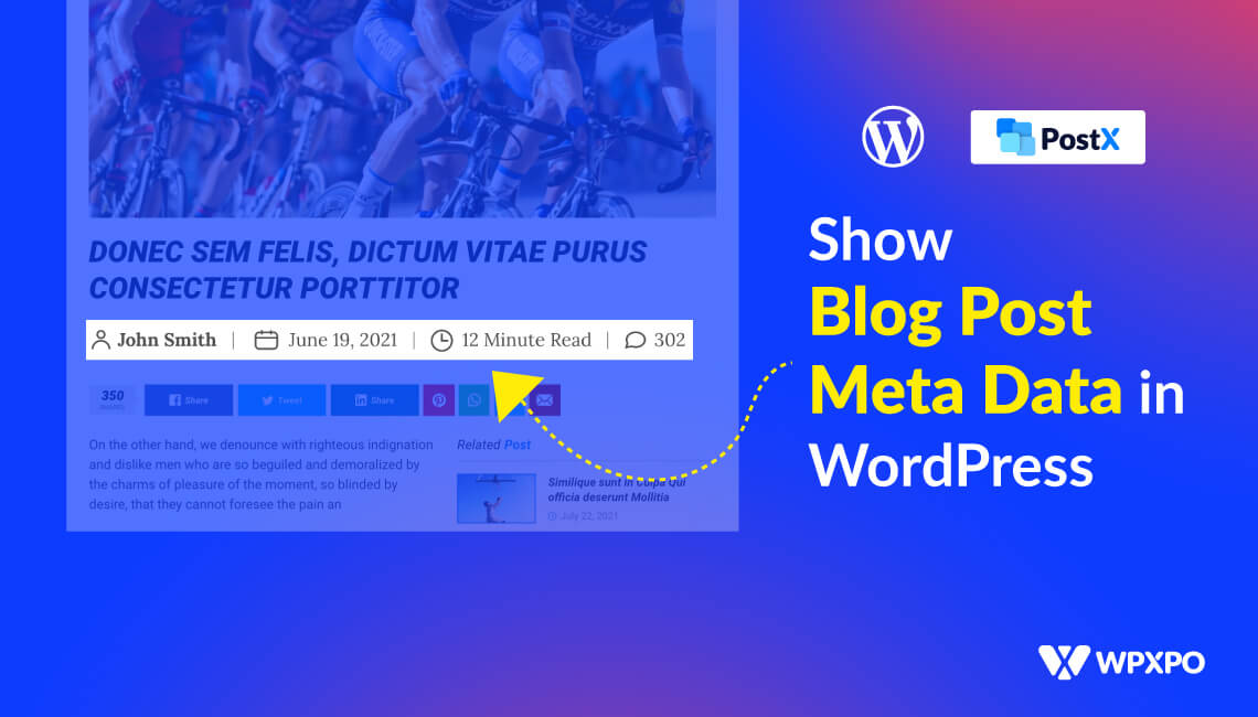 How to Show Blog Post Meta Data in WordPress