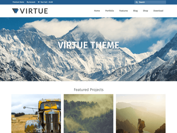 Virtue Theme